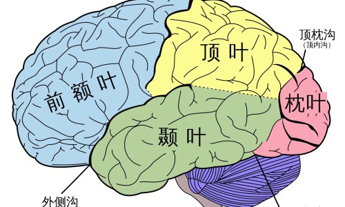 孕妇四个月食谱大全及做法窍门-4个月孕妇食谱大全-四个月孕妇食谱一览表,中国孕妇四个月食谱大全网站